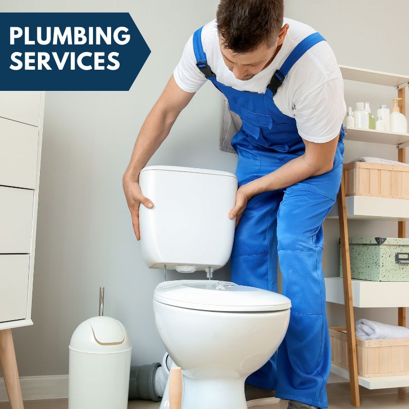 Plumbing Company in Pesotum, IL